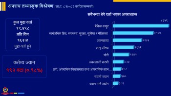 बैंकिङ कसूरका मुद्दा सबैभन्दा बढी 