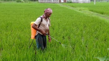 दिक्तेल रुपाकोट मझुवागढीका किसानलाई ‘किसान क्रेडिट कार्ड’