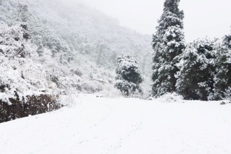 अवरुद्ध लोकमार्ग सञ्चालनको प्रयास