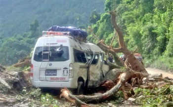 गुडिरहेको माइक्रो बसमाथि रुख ढल्दा नौ यात्रु घाइते