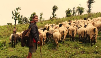 हिमाली भेगमा चिसो बढेपछि मानिस शहर झर्दै