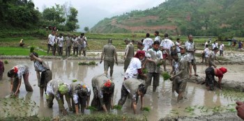 रामेछापमा खडेरीले सुक्यो बाली 