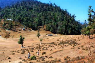 म्याग्दी र बागलुङ सिमानामा जडीबुटी अनुसन्धान केन्द्र