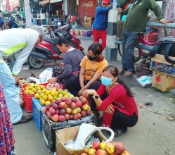 दसैँ–तिहारलाई कोसेली कर्णालीको स्याउ