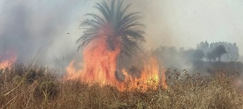 जर्मनीको जंगलमा भीषण डढेलो, सयौँ मानिसलाई सुरक्षित स्थलमा सारियो