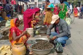 घुँगीको व्यापार