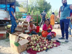 जुम्लाका उत्पादन, कैलालीमा व्यापार