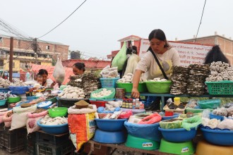 जडीबुटी बिक्रीबाटै मनग्गे आम्दानी