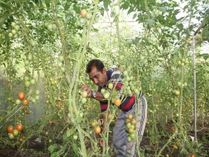 ‘आफ्नै खेतबारीमा नङग्रा खियाउँदा सन्तुष्टी मिल्दो रहेछ’