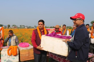 सयपत्री र मखमली हङकङ निर्यात