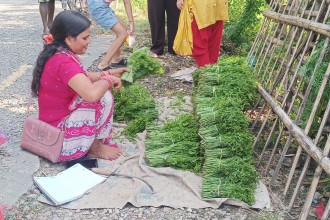 निगुरो व्यापारस् लगानी बिना नै लोभलाग्दो आम्दानी