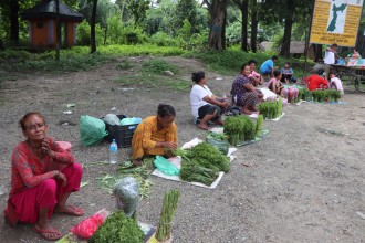 एकै वर्षमा १० लाख बढीको निगुरो बिक्री