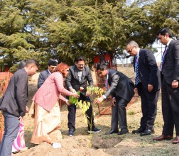 नेपाल एसबिआई बैंकले कैलाश डाँडामा गर्‍याे वृक्षारोपण