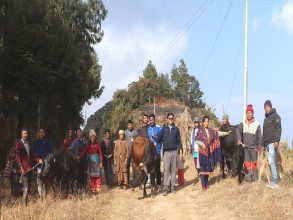 पौवादुङमाद्वारा किसानलाई उन्नत जातको गाई वितरण