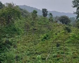 टेलिफोन सेवा अवरुद्ध हुँदा भोटखोलावासीलाई सास्ती