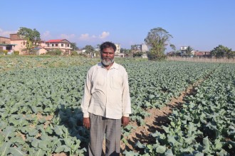 तरकारीले बजार नपाउँदा किसान चिन्तित