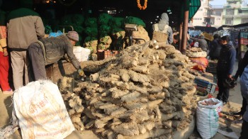 देवघाटमा बाँसको लिङ्गो गाडेर माघेसङ्क्रान्ति मेलाको शुभारम्भ