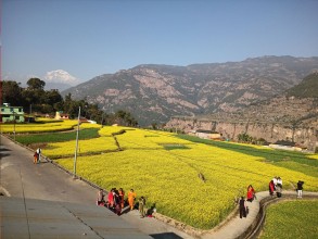 म्याग्दीको रत्नेचौरका तोरीबारीमा टिकटक बनाउने भीड