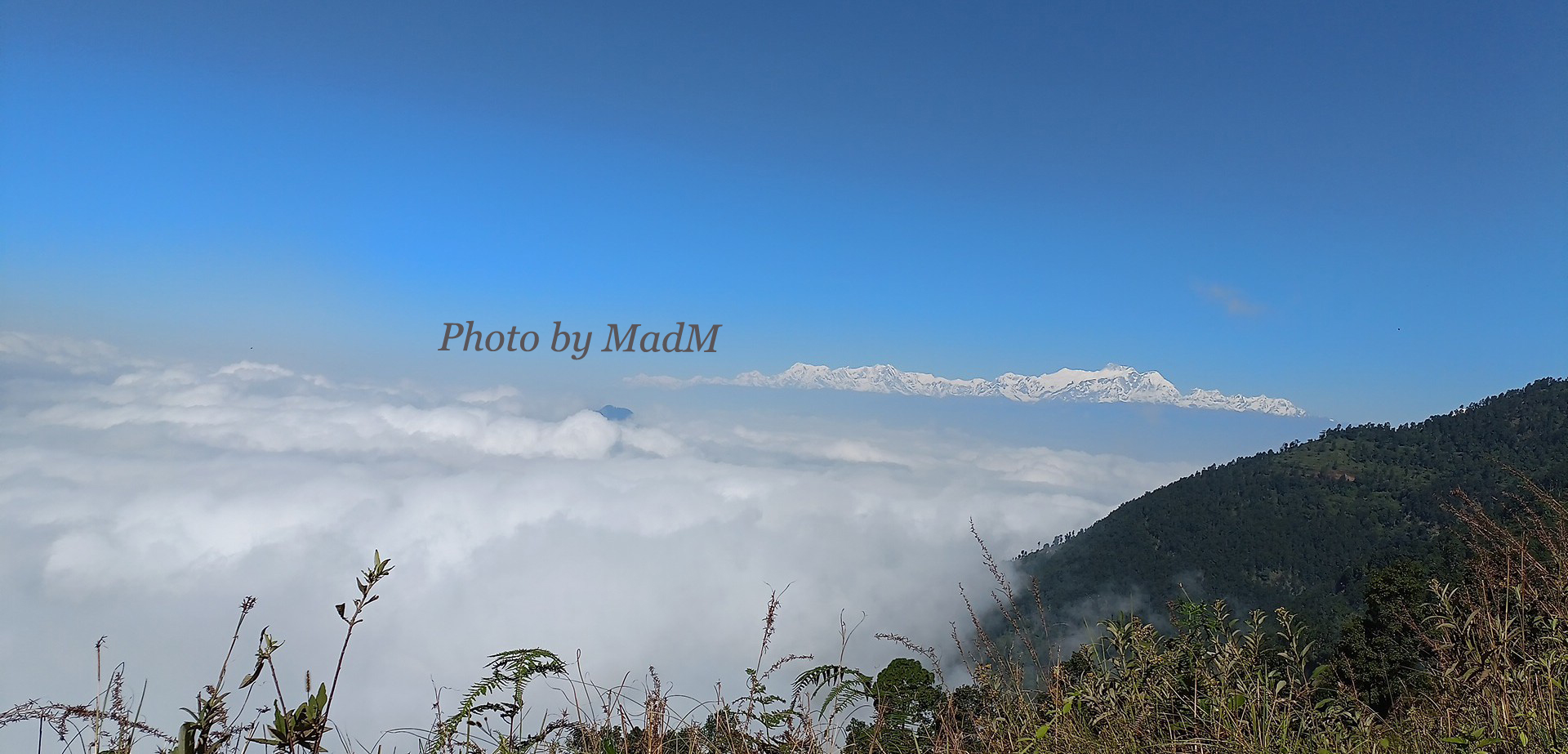 सामान्य अंकले घट्याे नेप्से परिसूचक