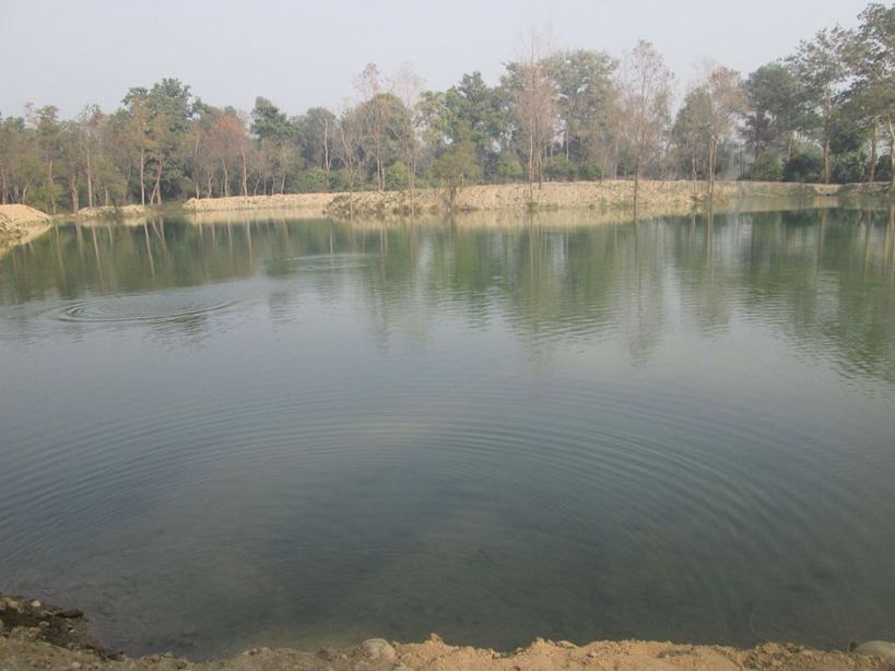 विश्व सिमसार दिवस : सिमसार मासिंदै ,जोगाउन चुनौती