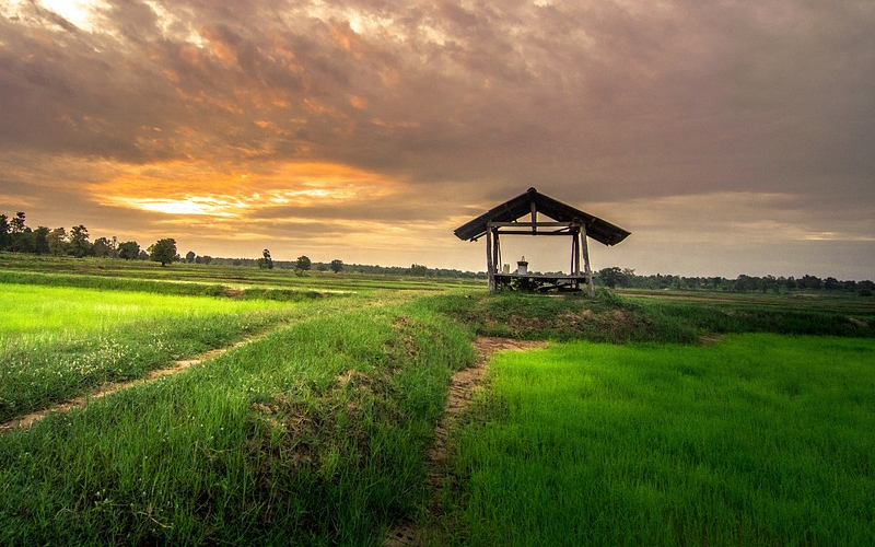 देवदहमा कृषिउपज संकलन केन्द्र सञ्चालन