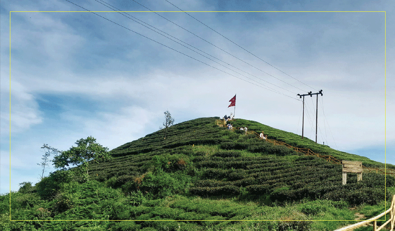 यी १० चिया उत्पादक कम्पनी पुरस्कृत