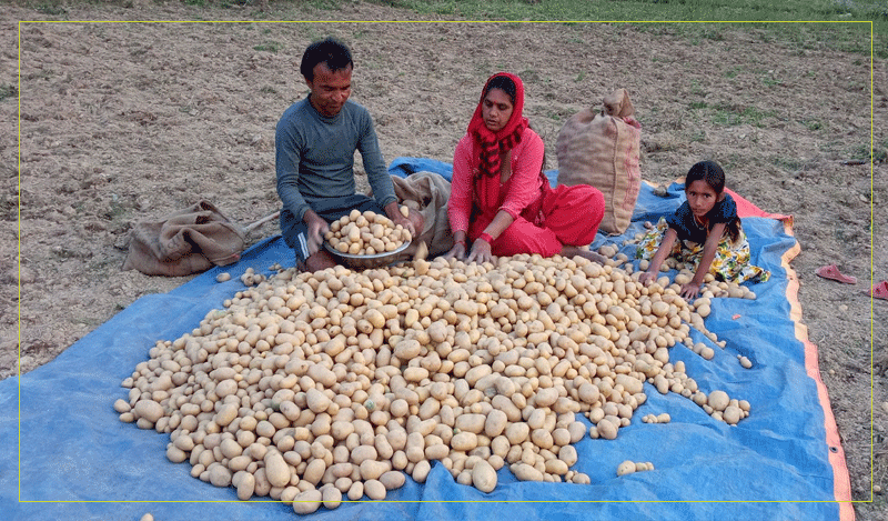 आँबुखैरेनीमा आलु मेला