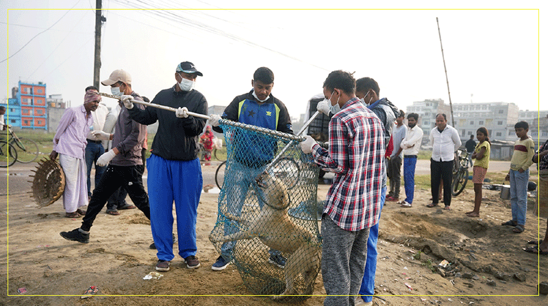 रेबिज विरुद्धको खोप दिने अभियान सुरु