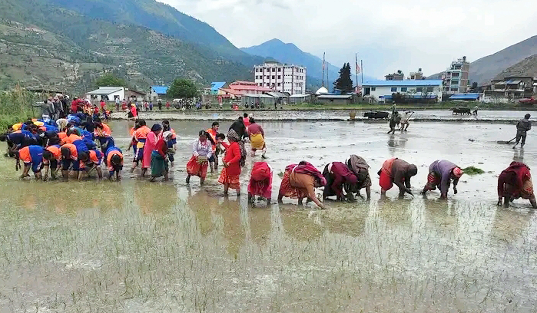 जुम्लामा विद्यार्थीले रापे मार्सीधान