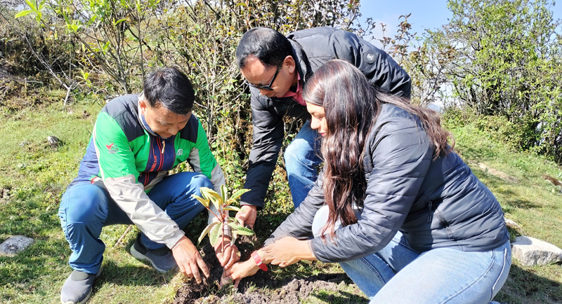 नेपाल– भारत सीमा नाका चिवामा पत्रकारहरुद्धारा वृक्षरोपण