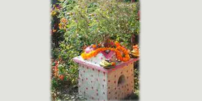 आज हरिशयनी एकादशी पर्व