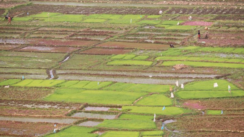 पालुङटारमा जग्गाको कित्ताकाट खुल्ला