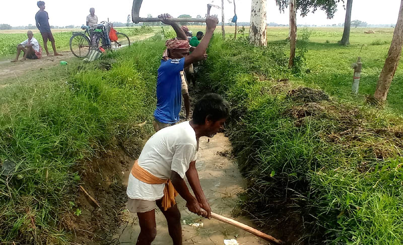 प्रधानमन्त्री रोजगार कार्यक्रममा खटिए मजदुर