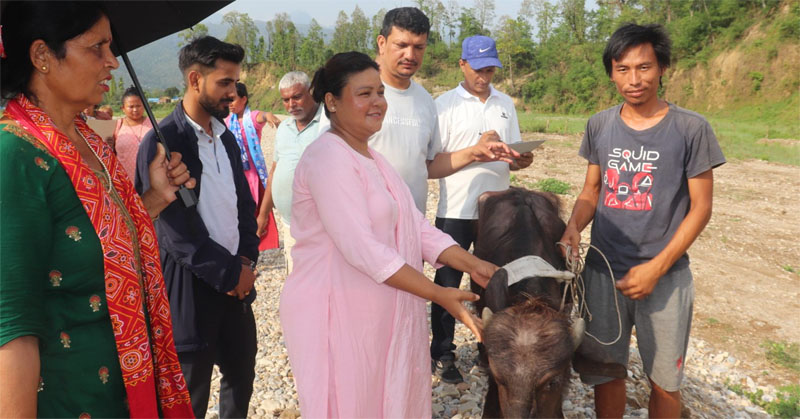 वनकरियालाई पाडी वितरण